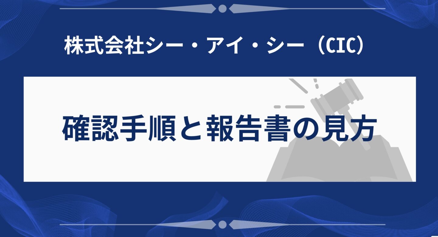 確認手順と報告書の見方